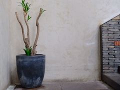 -几荷·恰似故人来(秀水广场店)