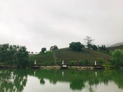 -帐篷客·溪龙茶谷度假酒店