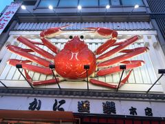 -蟹道乐(道顿堀本店)