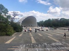 -吴淞炮台湾湿地森林公园烧烤区