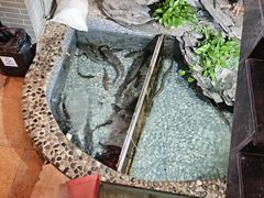 -山水茶艺馆·点心粤菜·30年老字号