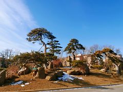 -罗红摄影艺术馆