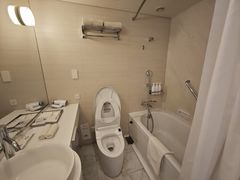 -神户美利坚公园东方大酒店