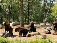 -北京野生动物园