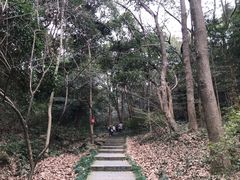-杭州植物园