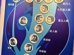 -国家自然博物馆