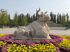 -永定河休闲森林公园