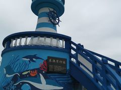 -东澳岛