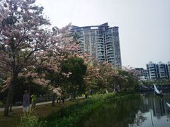 -四海公园(南山区)