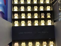 -line friends(明洞旗舰店)