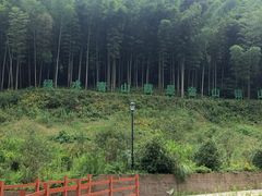 -龙坞茶村