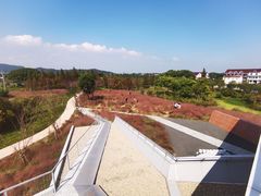 -下渚湖国家湿地公园科普馆