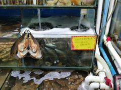 -蚝专家(北滘店)