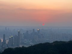 -大金鹰园