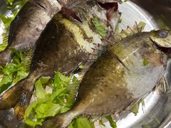 -丰尔粥食·粥底火锅·桑拿鸡(大良总店)
