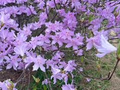 -敬亭山风景名胜区