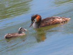 -野鸭湖国家湿地公园