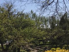 -晋祠公园