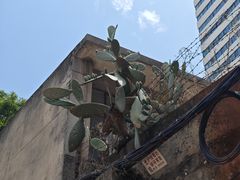 -丁记面馆(凤凰店)