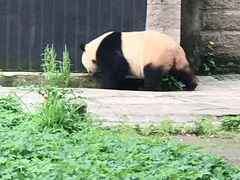 -重庆动物园·东二门售票处