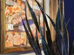 -Q MEX 库迈墨西哥餐吧(三里屯店)