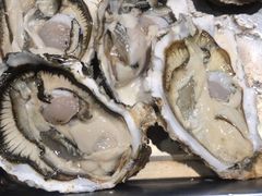 生蚝-黑石礁酒楼·海鲜(黑石礁店)
