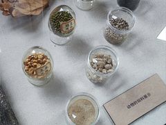 -北京动物园-畅观楼