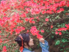-木兰云雾山