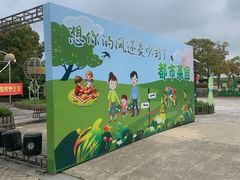 -上海都市菜园