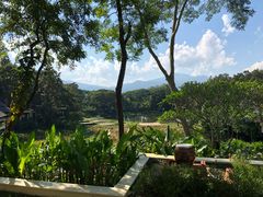 -四季酒店下午茶