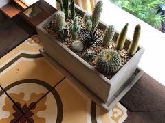 -时光花园(白鹭洲店)