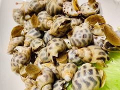 -高佳庄·舟山海鲜(海景旗舰店)