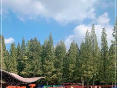 -东平国家森林公园