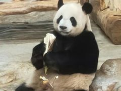 -海南热带野生动植物园