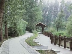 -溱湖国家湿地公园