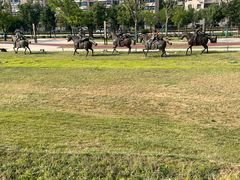 -唐城墙遗址公园