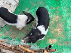 -HERRE·FARM 赫尔露营农场·团建聚会包场