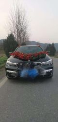 -蚂蚁婚车