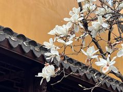 -龙华寺