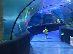 -梦幻海洋王国(吾悦广场张家港店)