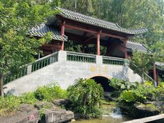 -广州神农草堂中医药博物馆