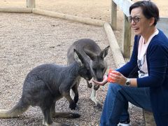 -费瑟代尔野生动物园