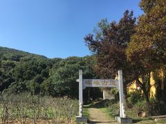 -龙寺生态园