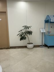 -上海伊莱美医疗美容医院