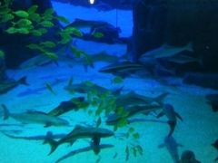 -成都浩海立方海洋公园