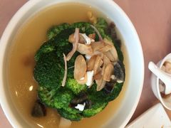 上海杏花楼集团五芳斋点心店(云南南路店)-五芳齋(云南南路店)