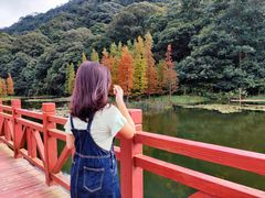 -广州市石门国家森林公园