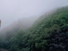 -青峰峡国家森林公园