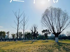 -汉长安城未央宫国家考古遗址公园