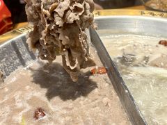 -九记潮汕现切鲜牛肉自助火锅(长沙·方圆荟店)
